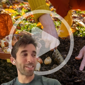 Gardening in the Fall with Farmer Nick