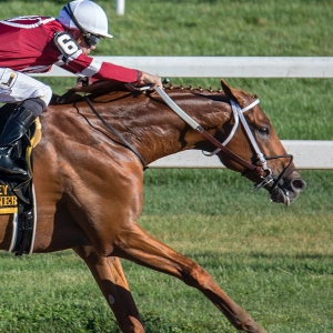 EP 118: Dr. Seamans on Dying Racehorses