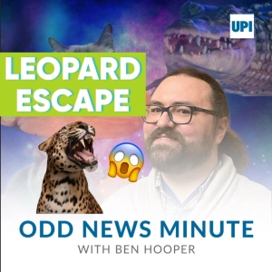 Leopard escapes S.C. zoo enclosure, 'human refrigerator'
