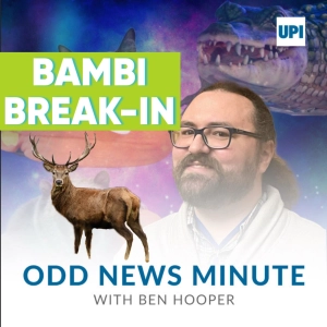 Odds and Ends: Bambi break-in, bread aisle snake