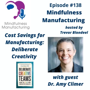 Cost Savings in Manufacturing for Operations Managers: Using Deliberate Creativity to Improve Performance with Amy Climer #138