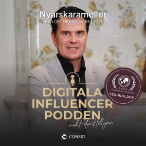 341. Digitala året 2025
