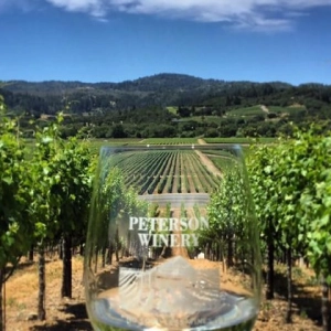 Friends of the Pod Series -- Ep 217: Peterson Winery of Dry Creek Valley of Sonoma, CA