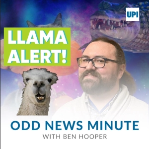 Odds and Ends: Texas llama, pony stuck in tire