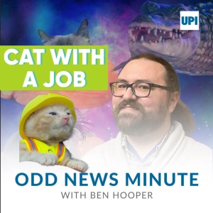 Construction kitten, longest chili pepper, highway cheese balls