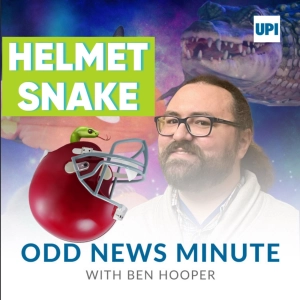 Football helmet snake, missing dog found in drain