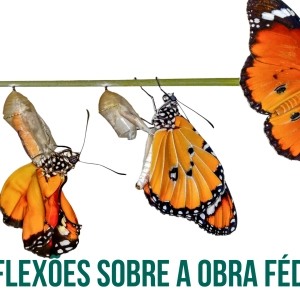 Reflexões sobre a obra Fédon