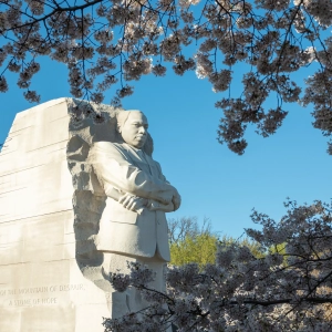 Replay: Martin Luther King Jr. Day with Michael Julian Bond