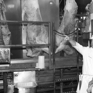 Ep. 9: Handcuffing the 'Food Police'
