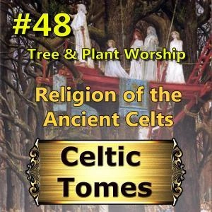 Tree and Plant Worship CT048