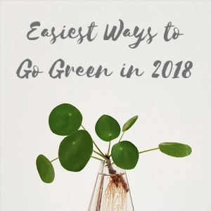 032: Easiest Ways to Go Green in 2018