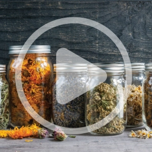 Herbs for Sleep, Stress, and Sobriety
