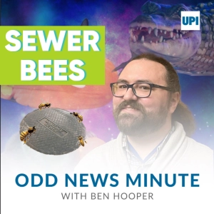 Philadelphia sewer bees, alligator brawl