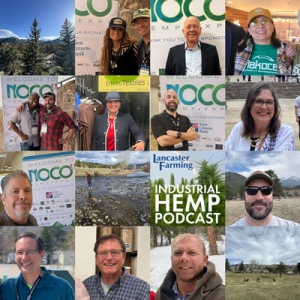 NoCo 2025: Optimistic Rumors and the Battle for the Soul of the Industry
