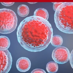 646: Stem Cells Therapy Explained: How to Choose the Right Stem Cell Treatment for Pain Relief and Longevity with Joshua Ketner