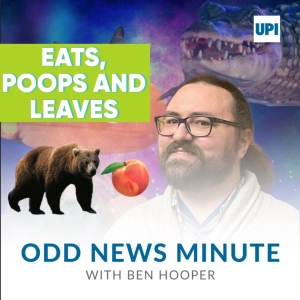 Bear hits the mall, speedy smooching