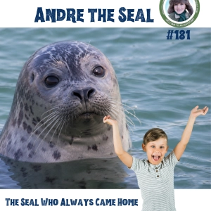 Andre the Seal – The Seal Who Always Came Home (a special episode for Esther and Emilia Lane)