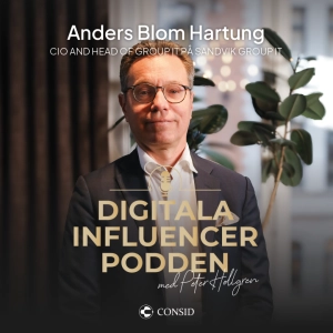 346. IT-ansvar i 160 länder | Anders Blom Hartung, CIO på Sandvik | Strategi