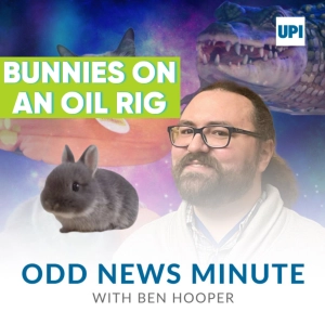 Odds and Ends: Bunnies on an oil rig, 'Unicycle Granny'