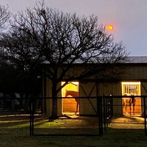 SS West - EP 2: Horsekeeping with Tara in North Texas