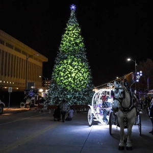 You don't need snow to have a winter wonderland!