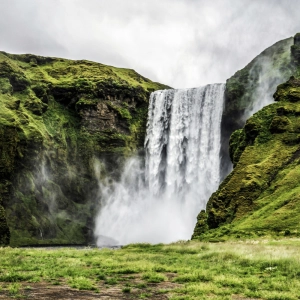 How nature restores the mind