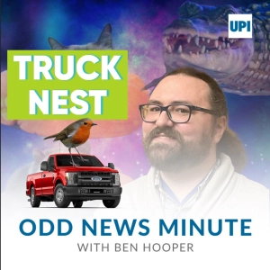 Robin's nest parks truck, mountain lion encounter