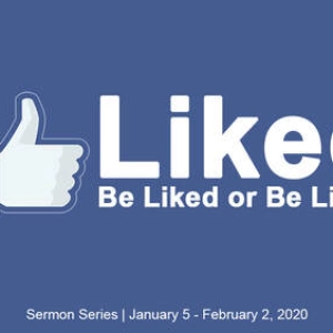 Be Liked or Be Like? - "Division"