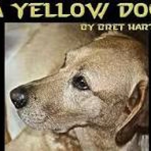 A YELLOW DOG by BRET HARTE