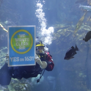 America Voted. How did the Environment Fare?