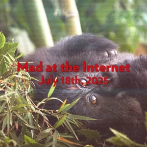 Gorilla Nest