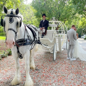 EP 85: An Equine Business Owner Takes a Leap of Faith
