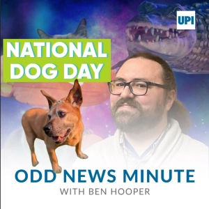 Special episode: National Dog Day