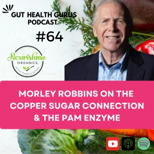 Morley Robbins on The Copper Sugar Connection and the PAM Enzyme