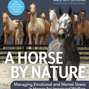 EP 131: Updates from Hoo Too, and a New Book by Mary Ann Simonds