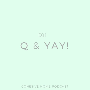 Q & YAY: 001