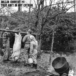 Episode 211: That Ain't In Any Catalog