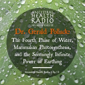 Dr. Gerald Pollack: The Fourth Phase of Water, Mammalian Photosynthesis, and the Seemingly Infinite Power of Earthing | Ep.13