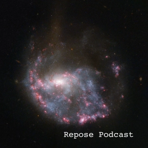 014 - the holiday refuse