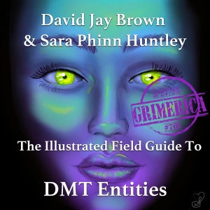 #701 - Sara Phinn Huntley and David Jay Brown - The Illustrated Field Guide to DMT Entities