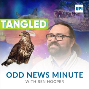 Tangled osprey, dinosaur record, glowing worms