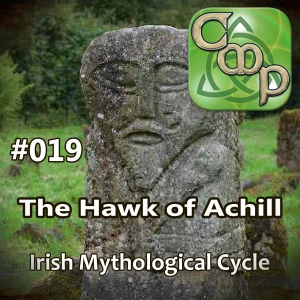 CMP019 The Hawk of Achill