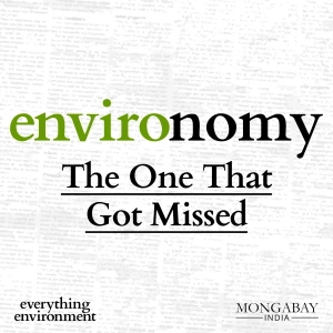 Environomy #5: The One That Got Missed