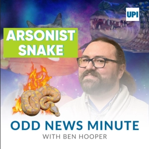 Odds and Ends: Escaped snake sets school on fire
