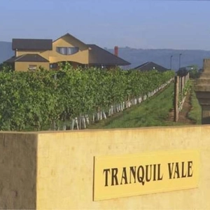 Friends of the Pod Series -- Ep 309: Tranquil Vale of Hunter Valley, Australia on Boutique Wine, Bushfires, and Climate Change