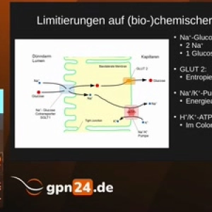Mal was mit Salz (gpn24)