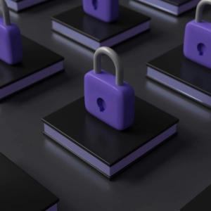 Brute Force Hacking Protection on Above Phone