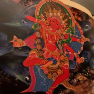 Dharma Practice in times of Uncertainty