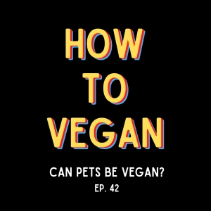 Can Pets Be Vegan?