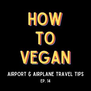 Airport & Airplane Travel Tips